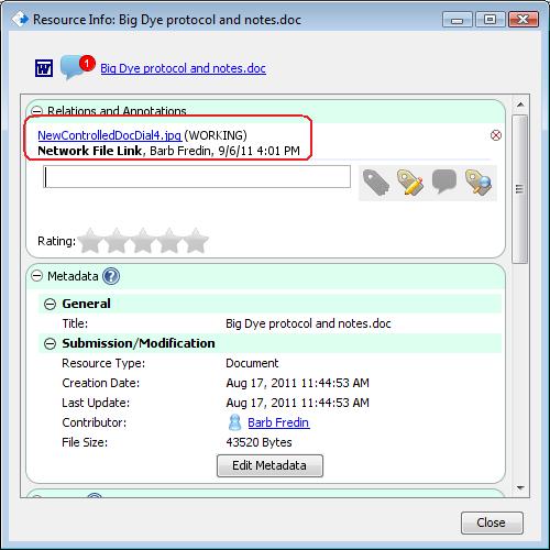 Network file link