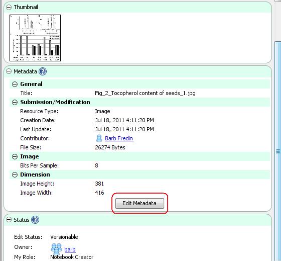 Inline metadata