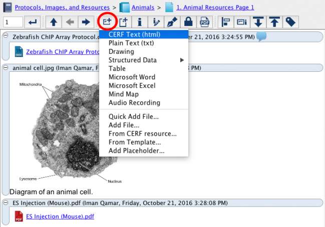 Add CERF Text entry