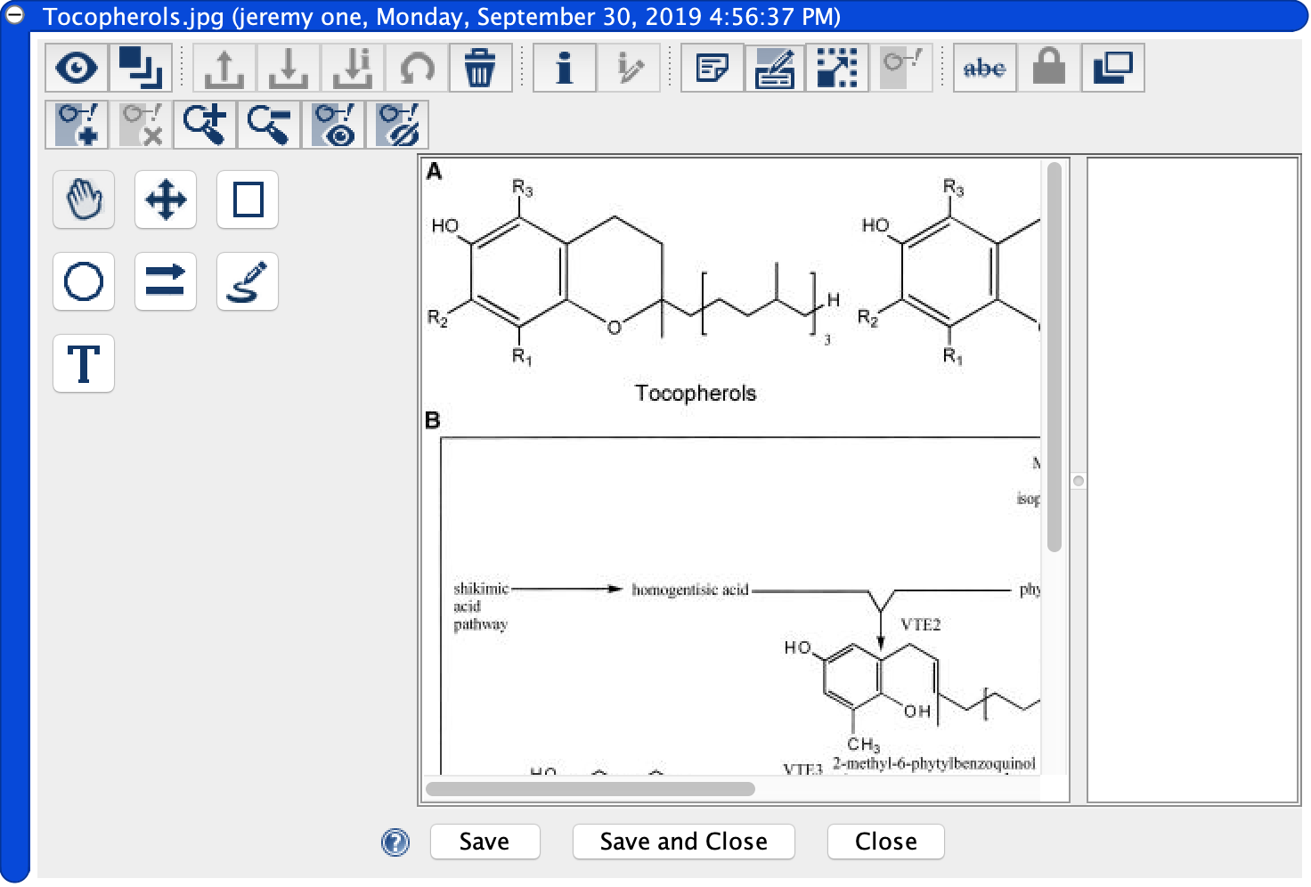 Annotation Editor
